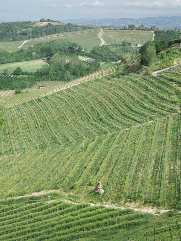 Vintage-winery-view