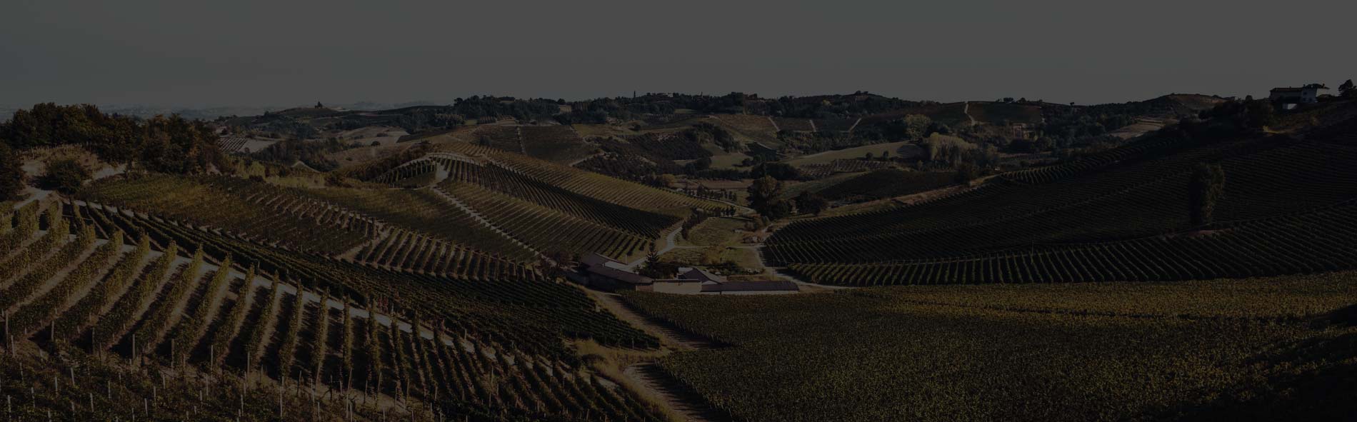 Tasting room
