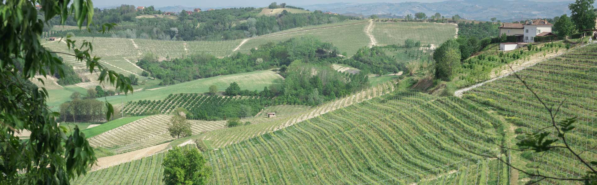 Tasting room